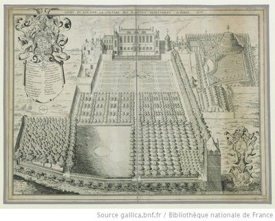 Jardin du Roy pour la culture des plantes médécinales, à Paris, 1636, 