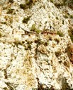 Eremitenbehausungen an der felsigen Steilküste des Südzipfels des Bergs Athos, Farbphotographie, 1981, Photograph: Alexander Buschorn; Bildquelle: Wikimedia Commons, http://commons.wikimedia.org/wiki/File:Athos_eremiten_axb01.jpg, Creative Commons Attribution-Share Alike 3.0 Unported license, http://creativecommons.org/licenses/by-sa/3.0/deed.en.