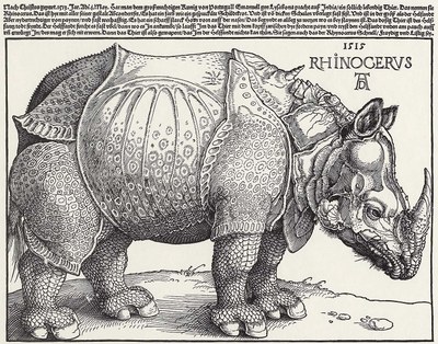 Albrecht Dürer: Rhinocerus. Holzschnitt, 1515. Berlin, Kupferstichkabinett. Quelle: www.zeno.org, http://www.zeno.org/nid/20004001567. Gemeinfrei. 