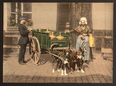 Flemish milk women, Antwerp, Belgium IMG